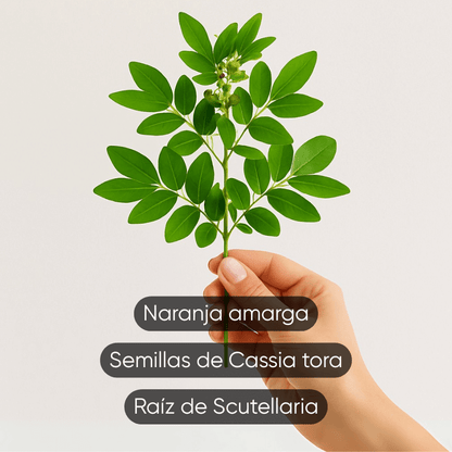 Nubella®  Parches Reductores